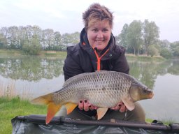 Competities HSV Alfheim